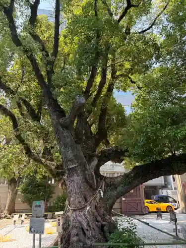 難波神社(大阪府)