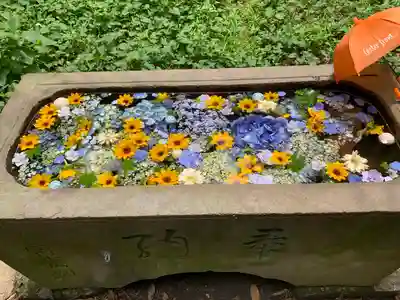 前玉神社の手水舎