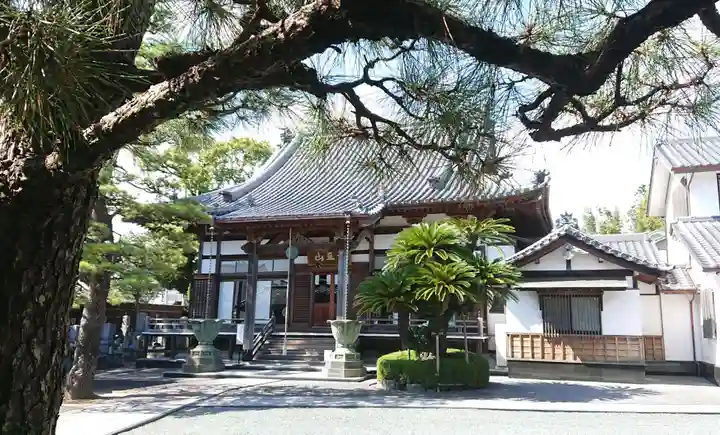 玄妙寺の本殿・本堂