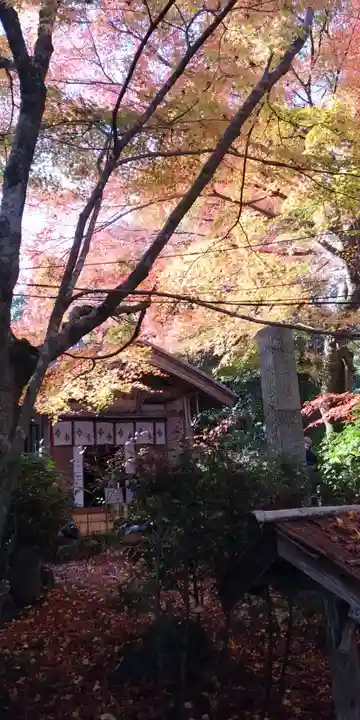 国宝 長寿寺の景色