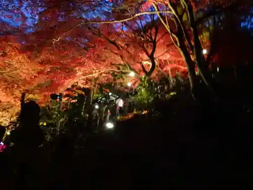 大山寺の自然