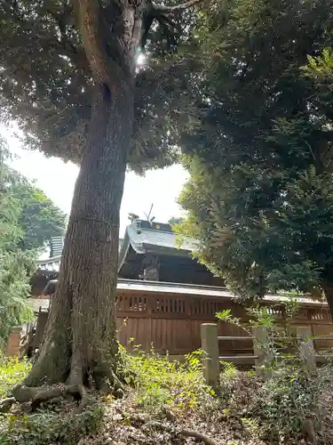 鶴峯八幡宮(茨城県)