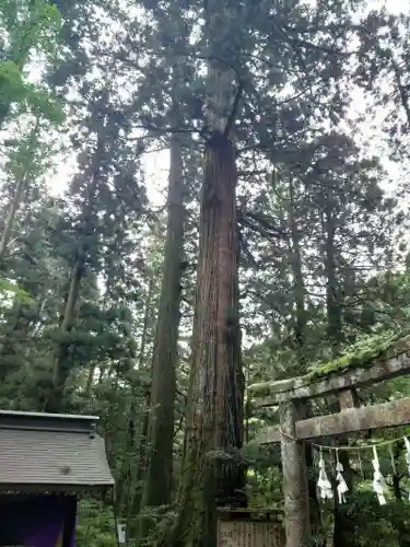 花園神社(茨城県)
