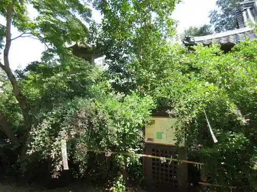 梨木神社の自然