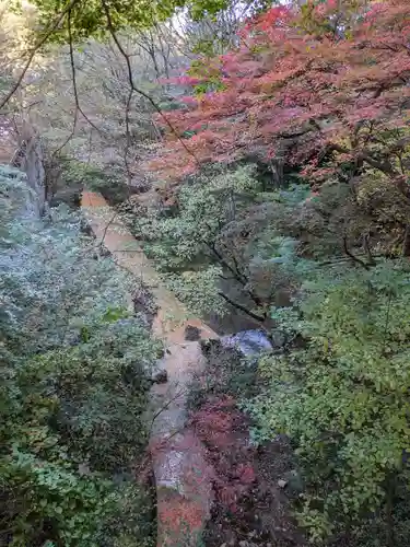 伊香保神社の自然