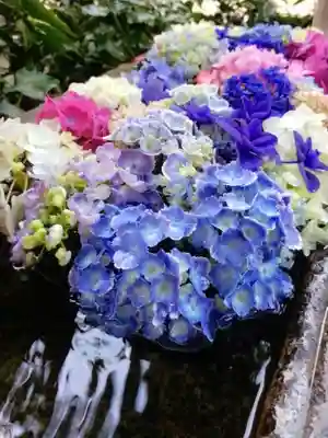 本郷氷川神社(東京都)