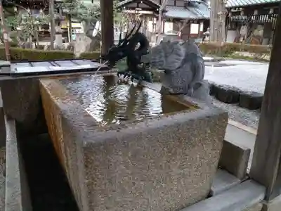 沙沙貴神社の手水舎