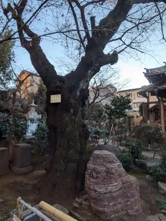 厳浄院(東京都)