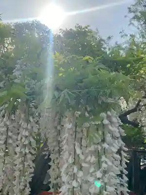 行興寺(静岡県)