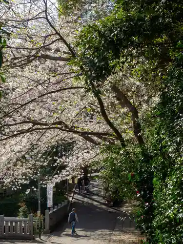 前原御嶽神社の自然