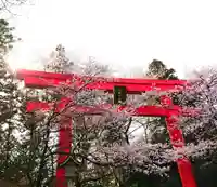 冠稲荷神社の鳥居