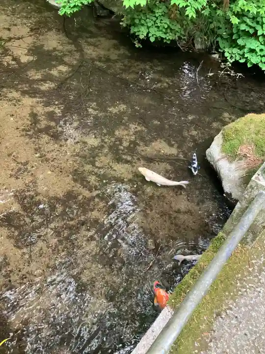 塩原八幡宮(栃木県)