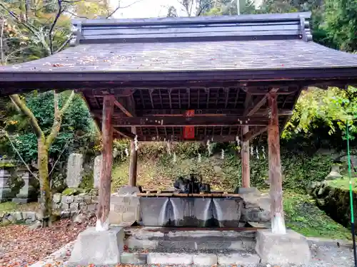 金櫻神社(山梨県)