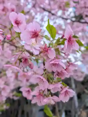 淀橋咳止地蔵尊(東京都)