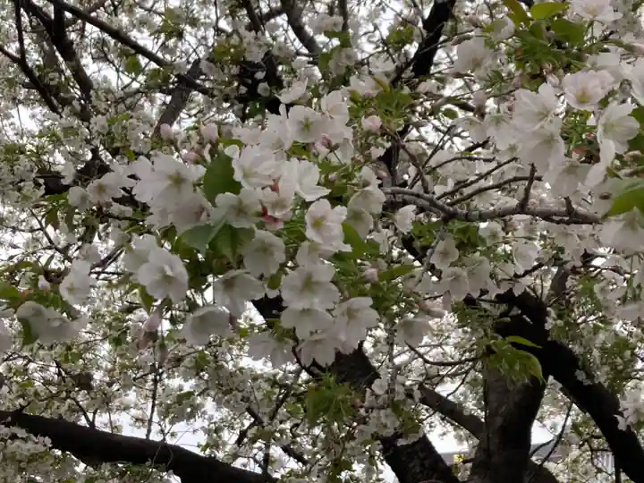 池上本門寺(東京都)