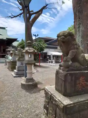 町田天満宮の狛犬