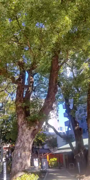 若宮八幡社(愛知県)