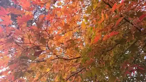 門田稲荷神社の自然