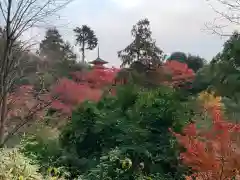 清水寺の自然