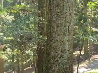 延暦寺 椿堂(滋賀県)