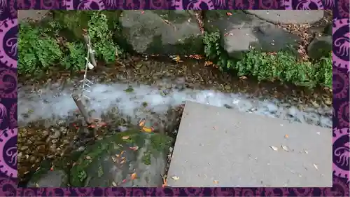 川越氷川神社(埼玉県)