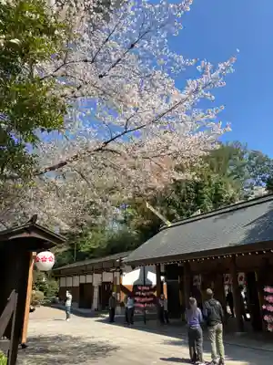 櫻木神社(千葉県)