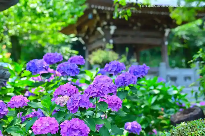 妙楽寺(神奈川県)