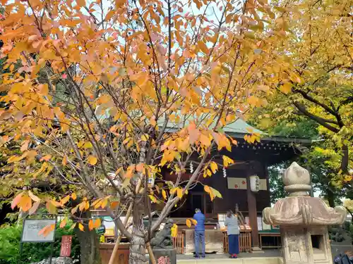 七社神社(東京都)
