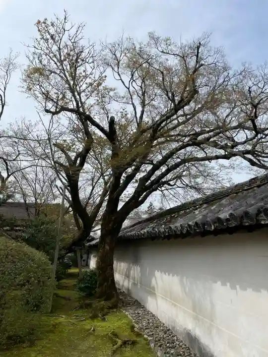 三宝院(三宝院門跡)(京都府)