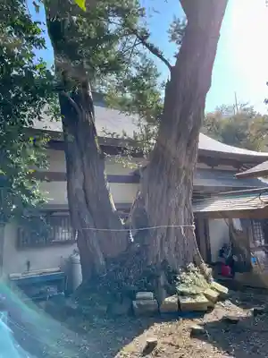 雄琴神社(栃木県)