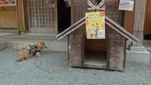 福島八幡宮の{uncategorized: "未分類", other: "その他", undefined: "問題あり", building: "その他建物", grave: "お墓", sacred_gate: "鳥居", guardian: "狛犬", statue: "像", buddha: "仏像", history: "歴史", nature: "自然", garden: "庭園", animal: "動物", pagoda: "塔", temizu: "手水舎", mountain_gate: "山門・神門", sanctuary: "本殿・本堂", subordinate: "末社・摂社", art: "芸術", scenery: "景色", jizo: "地蔵", ema: "絵馬", goshuin: "御朱印", omikuji: "おみくじ", items: "授与品その他", amulet: "お守り", goshuincho: "御朱印帳", eats: "食事", festival: "お祭り", votive_dance: "神楽", shichigosan: "七五三参", wedding: "結婚式", experience: "体験その他", initially: "初詣", around: "周辺", anti_infection: "感染症対策"}
