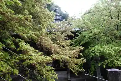 弥谷寺(香川県)