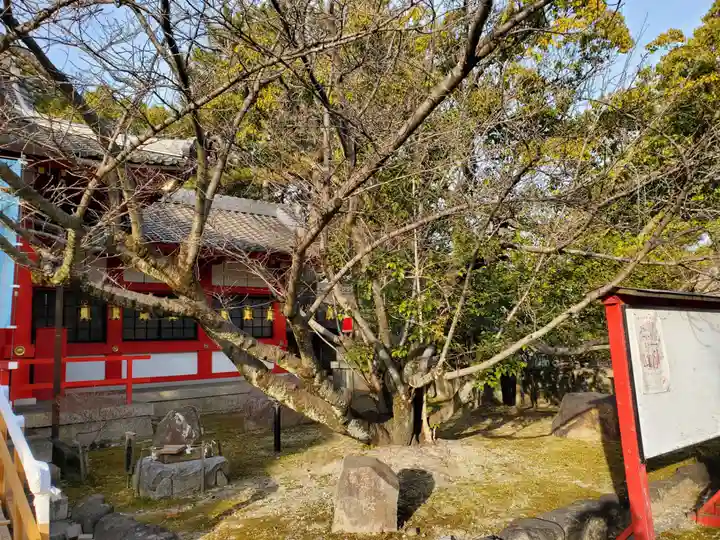市原稲荷神社の自然