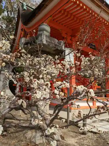北野天満宮(京都府)