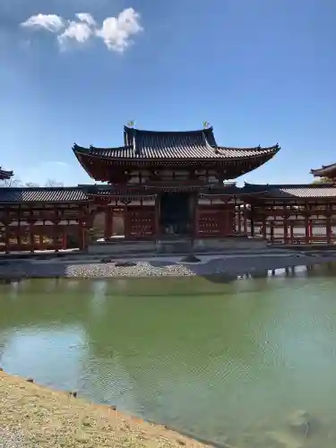平等院の{uncategorized: "未分類", other: "その他", undefined: "問題あり", building: "その他建物", grave: "お墓", sacred_gate: "鳥居", guardian: "狛犬", statue: "像", buddha: "仏像", history: "歴史", nature: "自然", garden: "庭園", animal: "動物", pagoda: "塔", temizu: "手水舎", mountain_gate: "山門・神門", sanctuary: "本殿・本堂", subordinate: "末社・摂社", art: "芸術", scenery: "景色", jizo: "地蔵", ema: "絵馬", goshuin: "御朱印", omikuji: "おみくじ", items: "授与品その他", amulet: "お守り", goshuincho: "御朱印帳", eats: "食事", festival: "お祭り", votive_dance: "神楽", shichigosan: "七五三参", wedding: "結婚式", experience: "体験その他", initially: "初詣", around: "周辺", anti_infection: "感染症対策"}