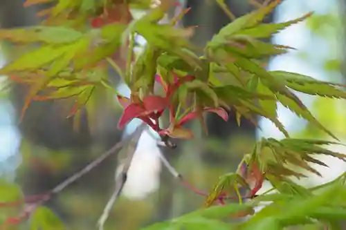 四柱神社の自然