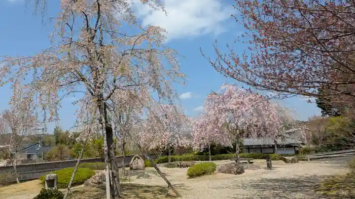 圓光寺(京都府)