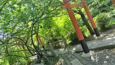 平野神社(京都府)