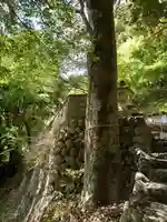 天神社の自然