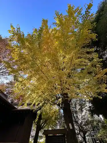 金王八幡宮(東京都)