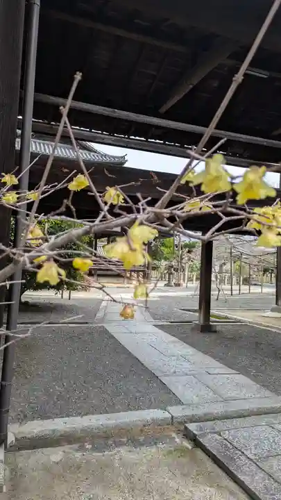 本法寺(京都府)