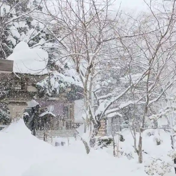 彌彦神社 (伊夜日子神社)の自然