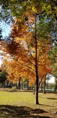 徳島稲荷神社(埼玉県)