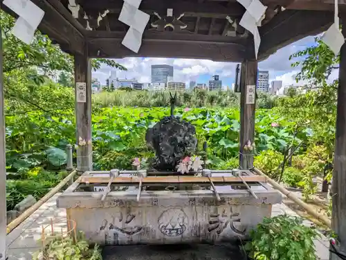 寛永寺不忍池弁天堂の手水舎