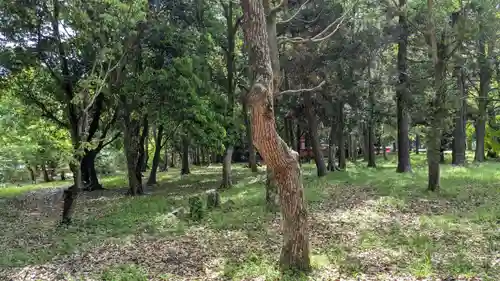 宇佐宮弥勒寺跡の自然