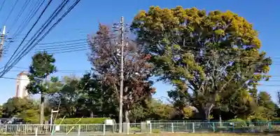 庚申神社のその他建物
