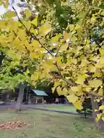 厚別神社(北海道)