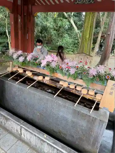 武蔵一宮氷川神社(埼玉県)