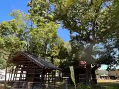 小玉川神社(長野県)