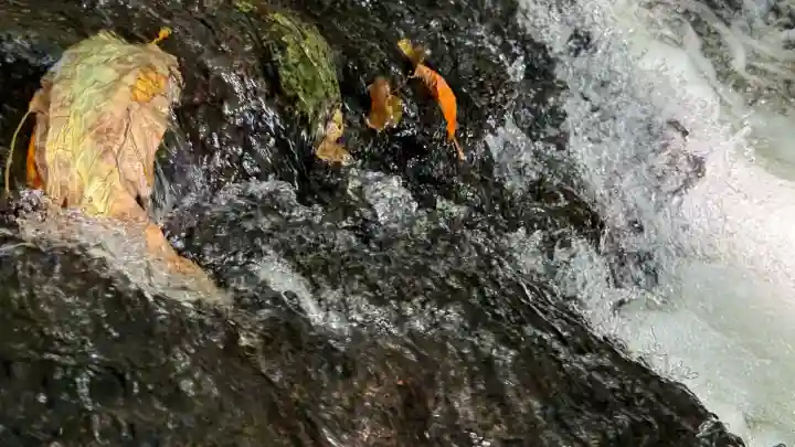 高宮神社(北海道)